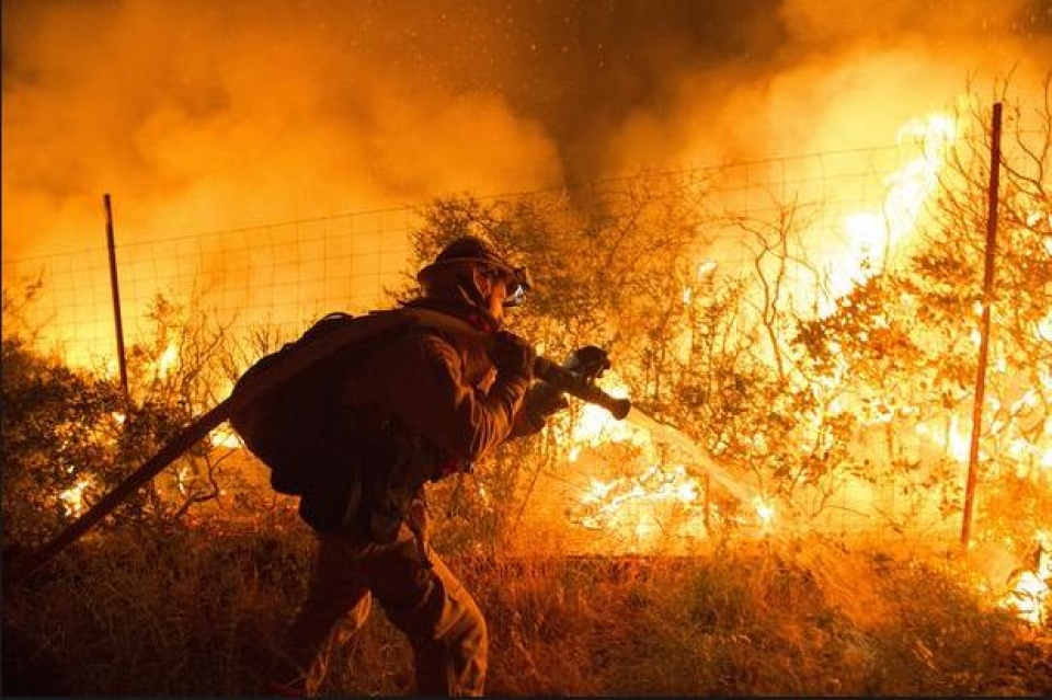 nguoi nhap cu lam cong viec gi o my