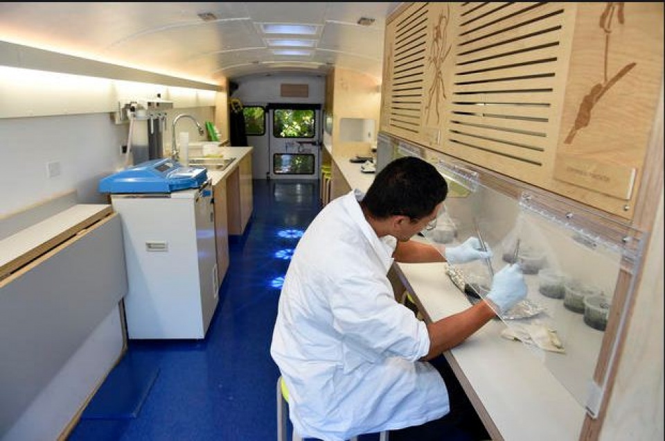 nguoi nhap cu lam cong viec gi o my