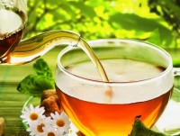 dich sot vang da bung phat manh tro lai tai brazil