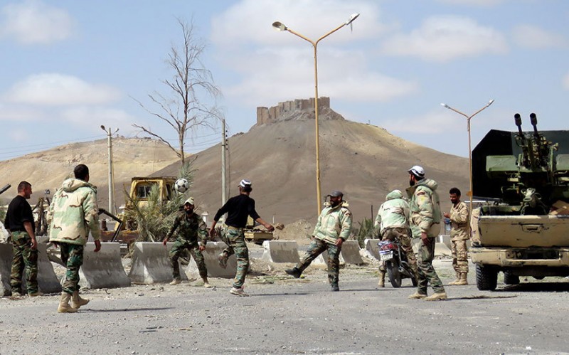 palmyra co dau cua sa mac hau is chiem dong 28504