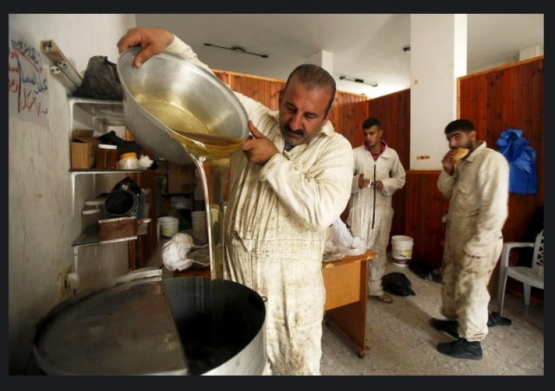 cho ong dot de chua benh