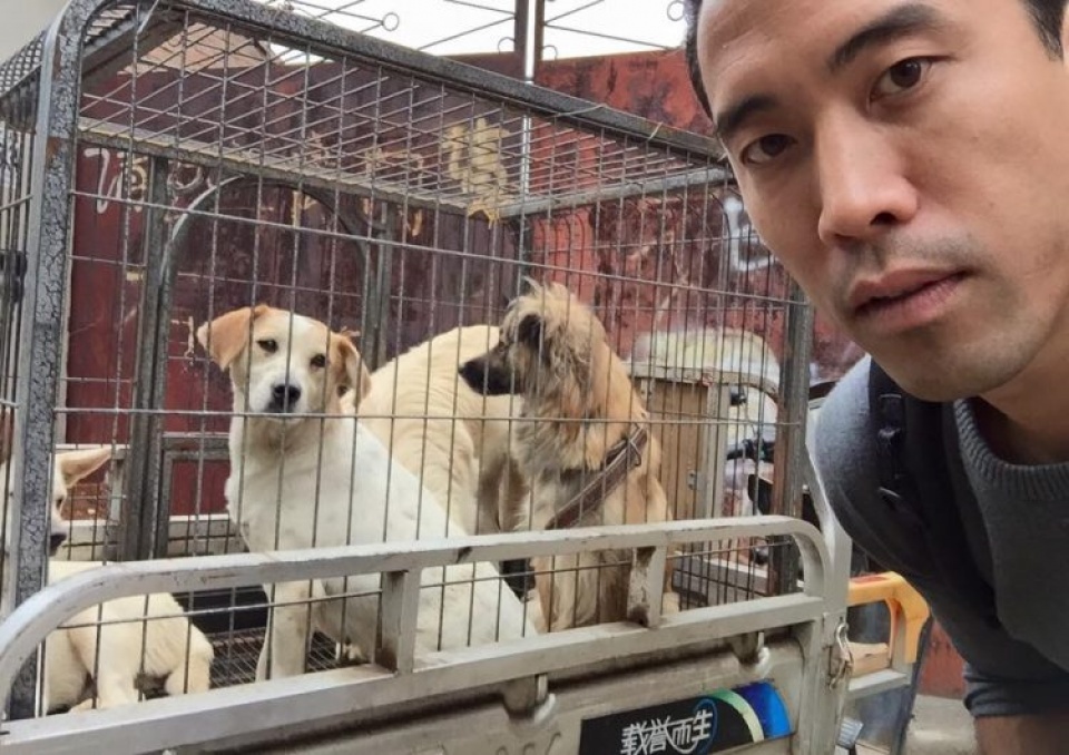 mao hiem tinh mang de cuu hang tram chu cho