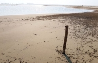 vi sao hoi an la thanh pho tuyet voi nhat the gioi trong nam 2019