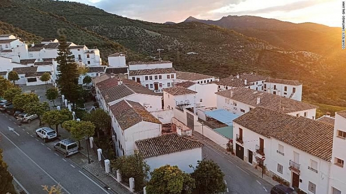 dai dich covid 19 vi sao phao dai zahara van dung vung truoc sars cov 2