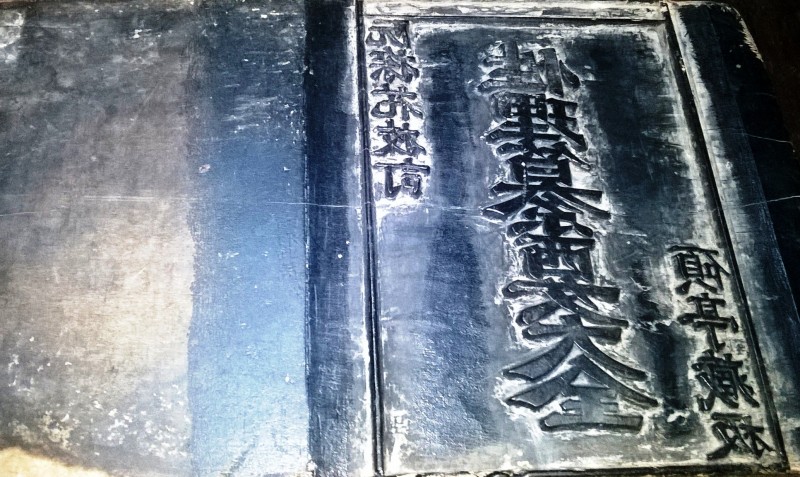 viet nam co hai de cu di san tu lieu chuong trinh ky uc the gioi