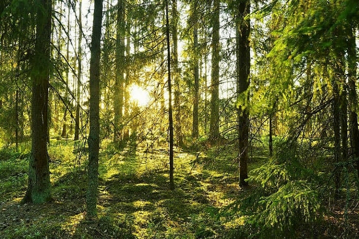 nhung dieu thu vi ve dat nuoc thuy dien