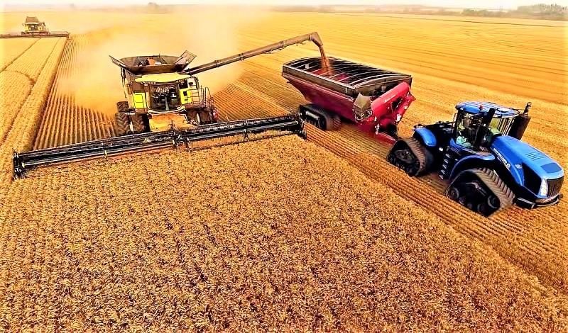 dich covid19 kho han nan doi mat mua va ham y voi nuoc nga vua ngu coc cua the gioi