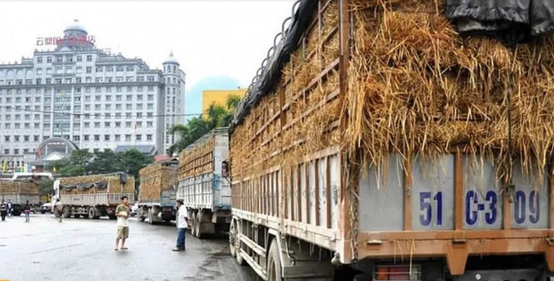 Hang Việt Nam xuất khẩu sang Trung Quốc tai cửa khẩu. (Nguồn: Chuyển phát Trung Quốc) Hang Việt Nam xuất khẩu sang Trung Quốc tai cửa khẩu. (Nguồn: Chuyển phát Trung Quốc)