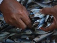 niem tin nguoi tieu dung viet nam dung thu 4 chau a thai binh duong