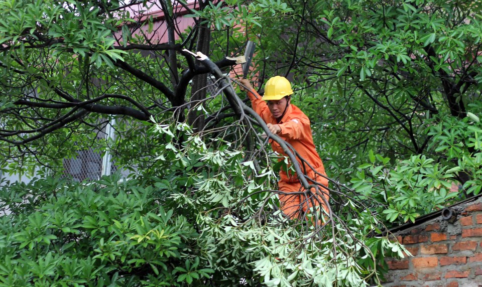 ha noi chu dong bao dam an toan dien cho mua mua bao