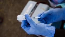 WB và IMF kêu gọi G7 chia sẻ vaccine Covid-19 cho các nước đang phát triển