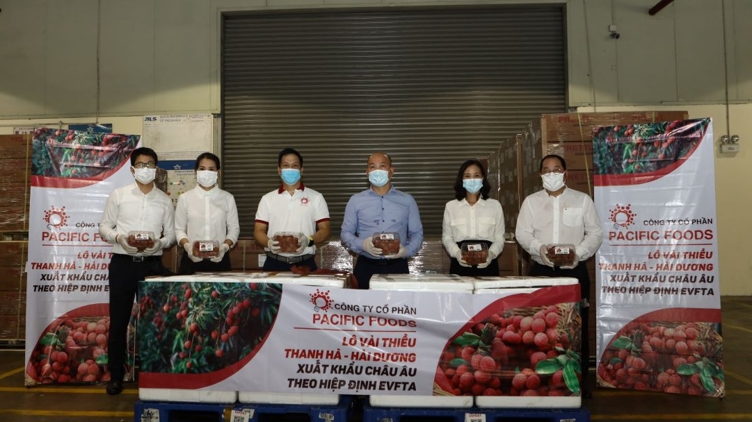 xuat khau lo vai thieu dau tien di chau au theo hiep dinh evfta