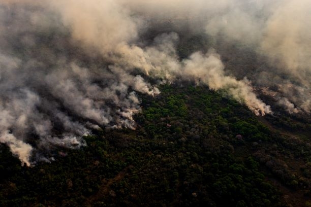 Ngành nông nghiệp Brazil gặp khó khăn nghiêm trọng do hạn hán Ngành nông nghiệp Brazil gặp khó khăn nghiêm trọng do hạn hán