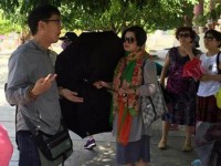 nhung buc anh dep nhat ve du lich viet nam