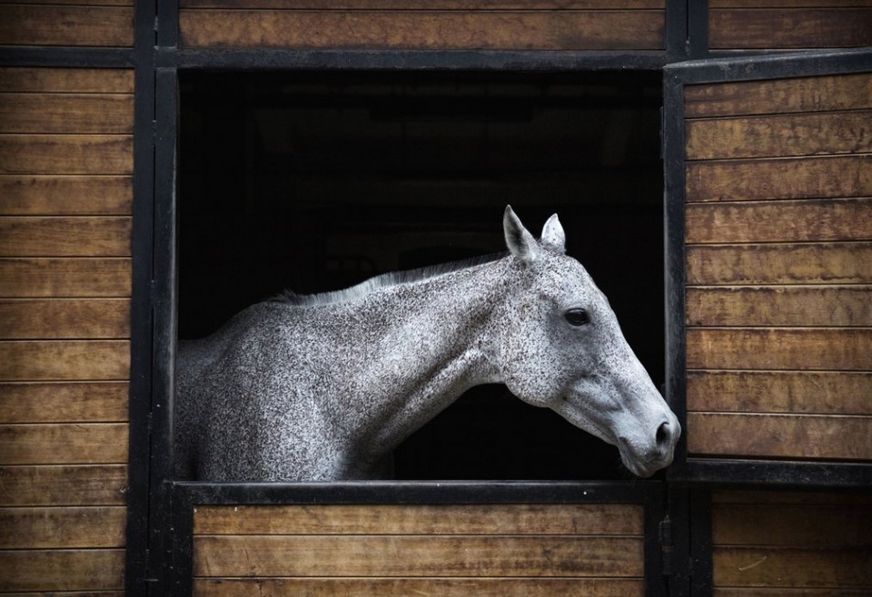 ben trong clb polo lon nhat trung quoc
