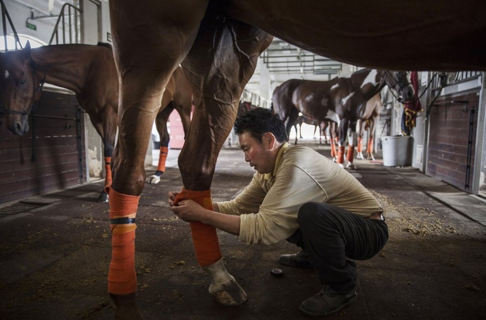 ben trong clb polo lon nhat trung quoc