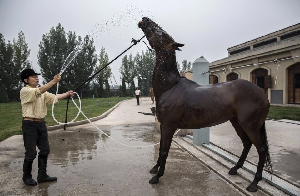 ben trong clb polo lon nhat trung quoc