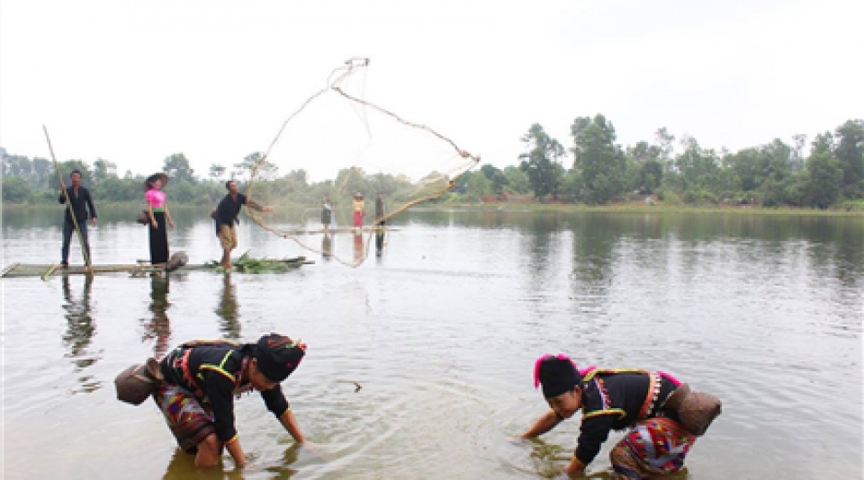 tai hien hoat dong danh bat ca cua dong bao kho mu