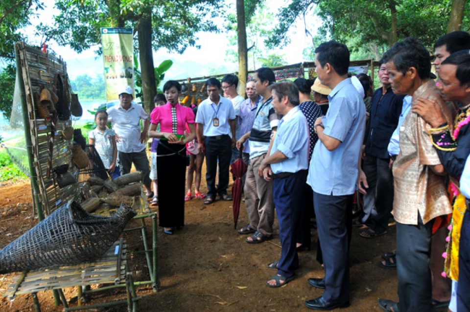 tai hien hoat dong danh bat ca cua dong bao kho mu