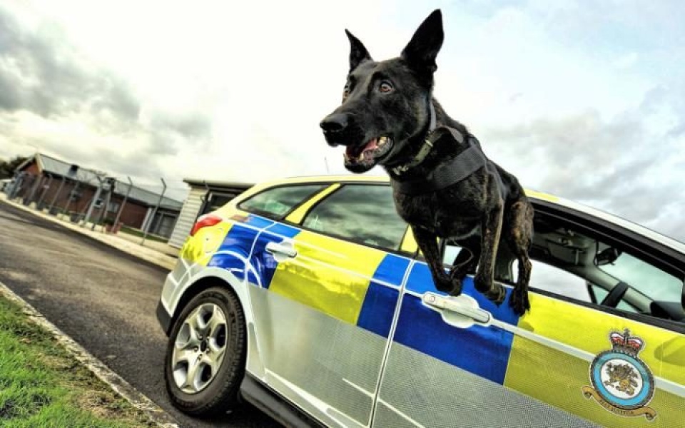 an tuong luc luong khong quan hoang gia anh