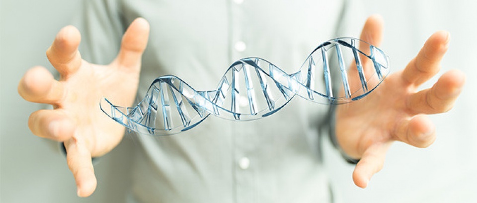 tiem nang tu viec chinh sua gene phoi thai