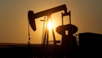 Giá dầu thế giới khó đoán định, tăng trong ngày thứ 2 liên tiếp