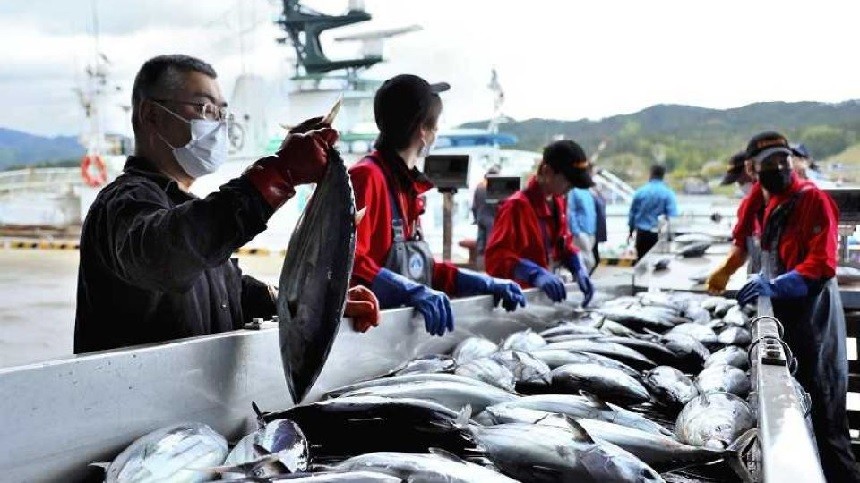 Kinh tế thế giới nổi bật (13-19/10): Huawei của Trung Quốc gây sốc thị trường smartphone toàn cầu, lượng khí đốt EU dự trữ đạt tối đa tuyệt đối