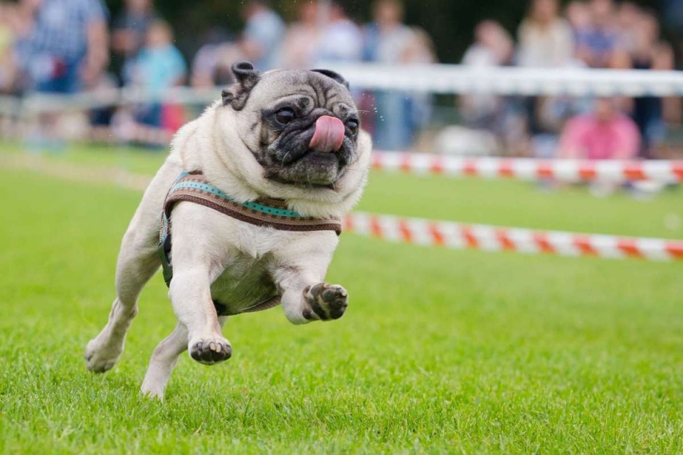 nhung buc anh an tuong ngay 59