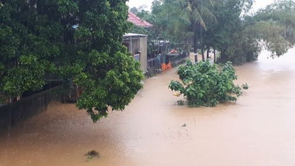 quang nam de vung ha du khong tro thanh ron lu