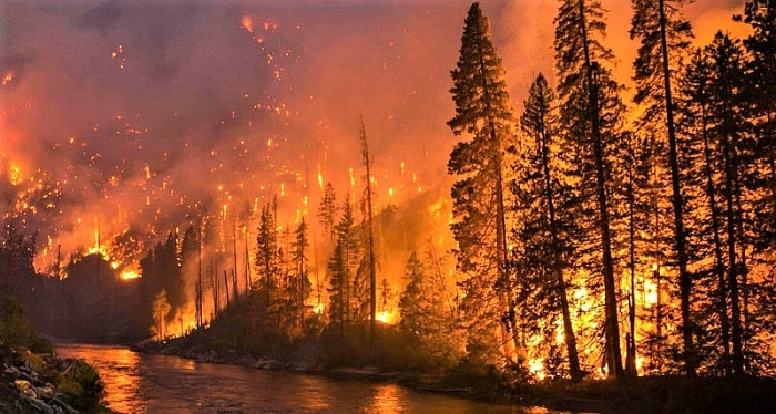 kinh nghiem chong giac lua bang bom cua nga