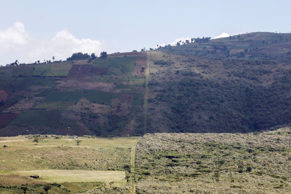 Một hàng rào điện ngăn cách đất nông nghiệp và khu bảo tồn rừng Eburru, Kenya, ngày 28/1/2021. Ảnh chụp ngày 28/1/2021. (Nguồn: Reuters)