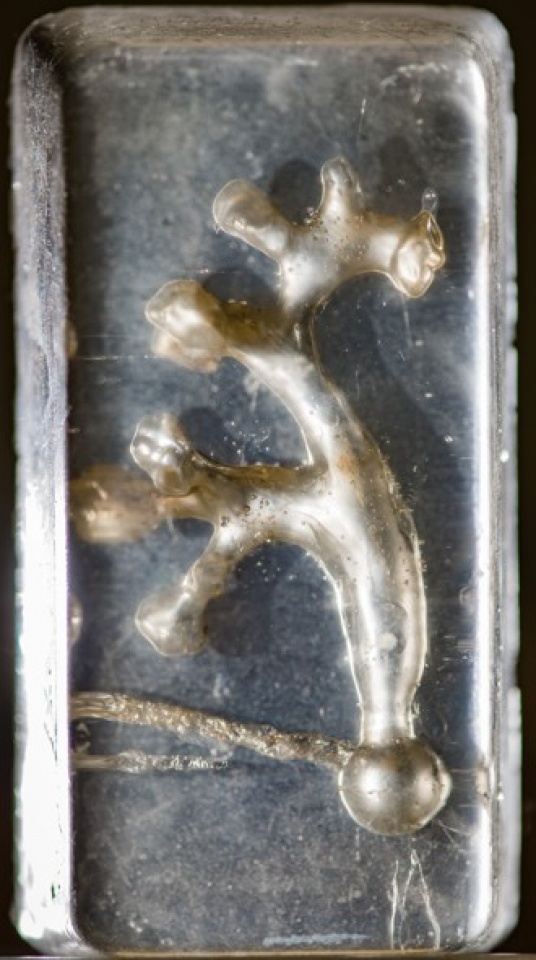 chua soi than bang tau luon sieu toc