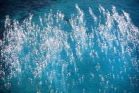 Khoảng khắc Giải Vô địch Thế giới danh giá Ironman lần thứ 38