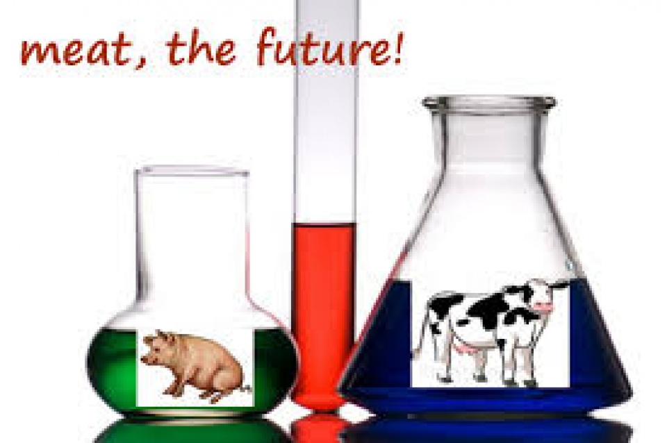 thit nhan tao ky nguyen moi nganh nong nghiep the gioi