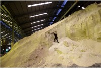 LHQ nỗ lực tìm giải pháp giảm giá thành phân bón toàn cầu