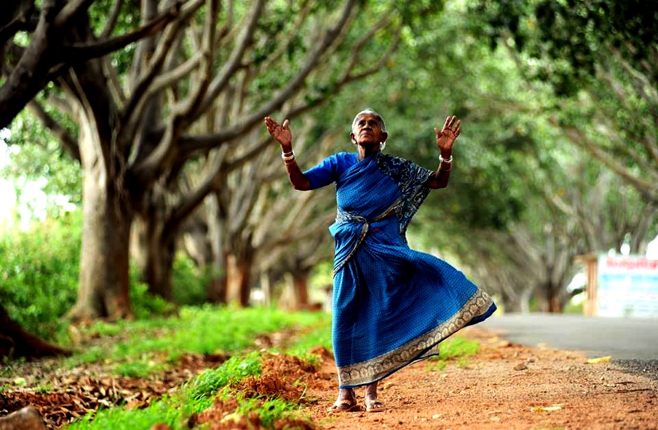 nguoi me cua nhung hang cay