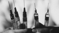 Ngày tàn của Covid-19 đã chớm cận kề?