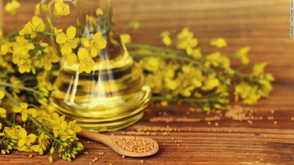 Ăn chất béo giúp... giảm cân hiệu quả an chat beo giup giam can hieu qua