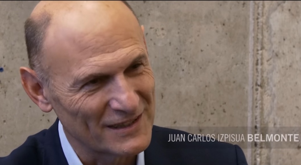 co the dao nguoc qua trinh lao hoa