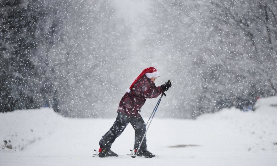 ron rang sac mau giang sinh muon phuong