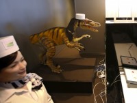 dich vu tam lau no ro o trung quoc