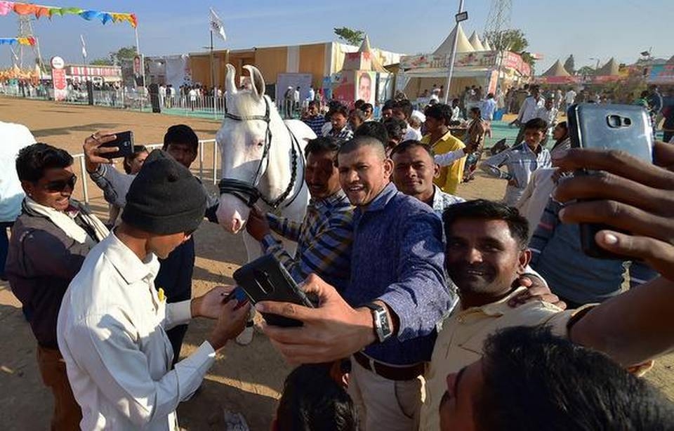 an do 24 nguoi dan so huu dien thoai thong minh