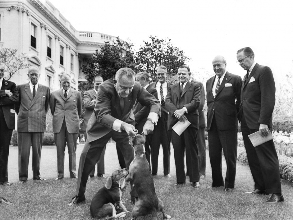 ong trump nen nuoi thu cung gi