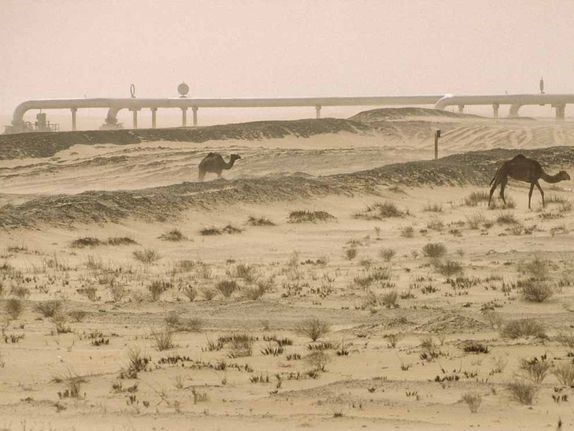 (05.28) Đường ống dẫn dầu khổng lồ chở dầu từ Dhahran, Saudi Arabia, gần nơi dầu được phát hiện đầu tiên ở nước này. (Nguồn: Emory Kristof, National Geographic)