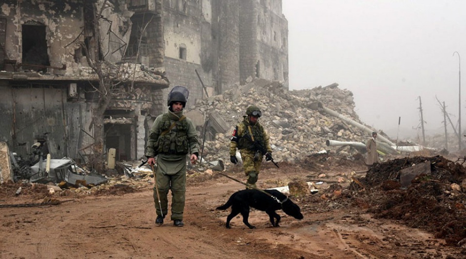 nga quan doi syria dang nam the chu dong