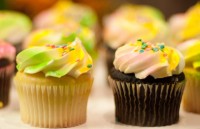 who cong bo chi dan moi de giam luong luong tieu thu chat beo