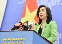 Bộ Ngoại giao: Cần tuyên truyền, nâng cao nhận thức của người Việt ở nước ngoài