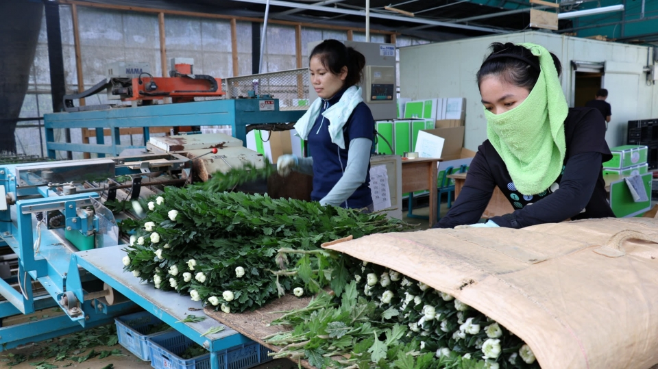 nhat ban co the cho phep lao dong nuoc ngoai cu tru dai han