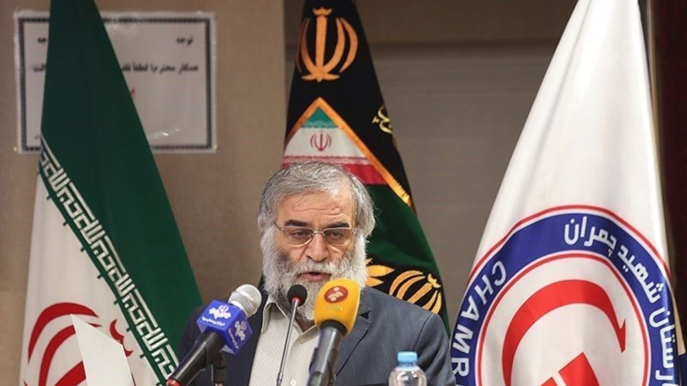 Nghi vấn và giả thuyết quanh cái chết của nhà khoa học Iran