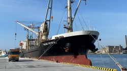 Bộ Ngoại giao tích cực bảo hộ thuyền viên gặp nạn tại biển Nhật Bản